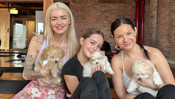 Stress Relief Through Yoga and Puppies