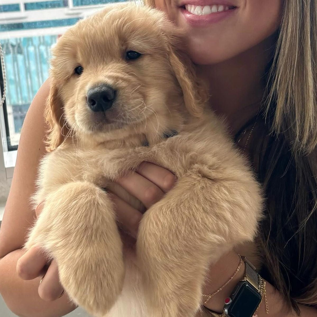 Puppy Social | Seattle