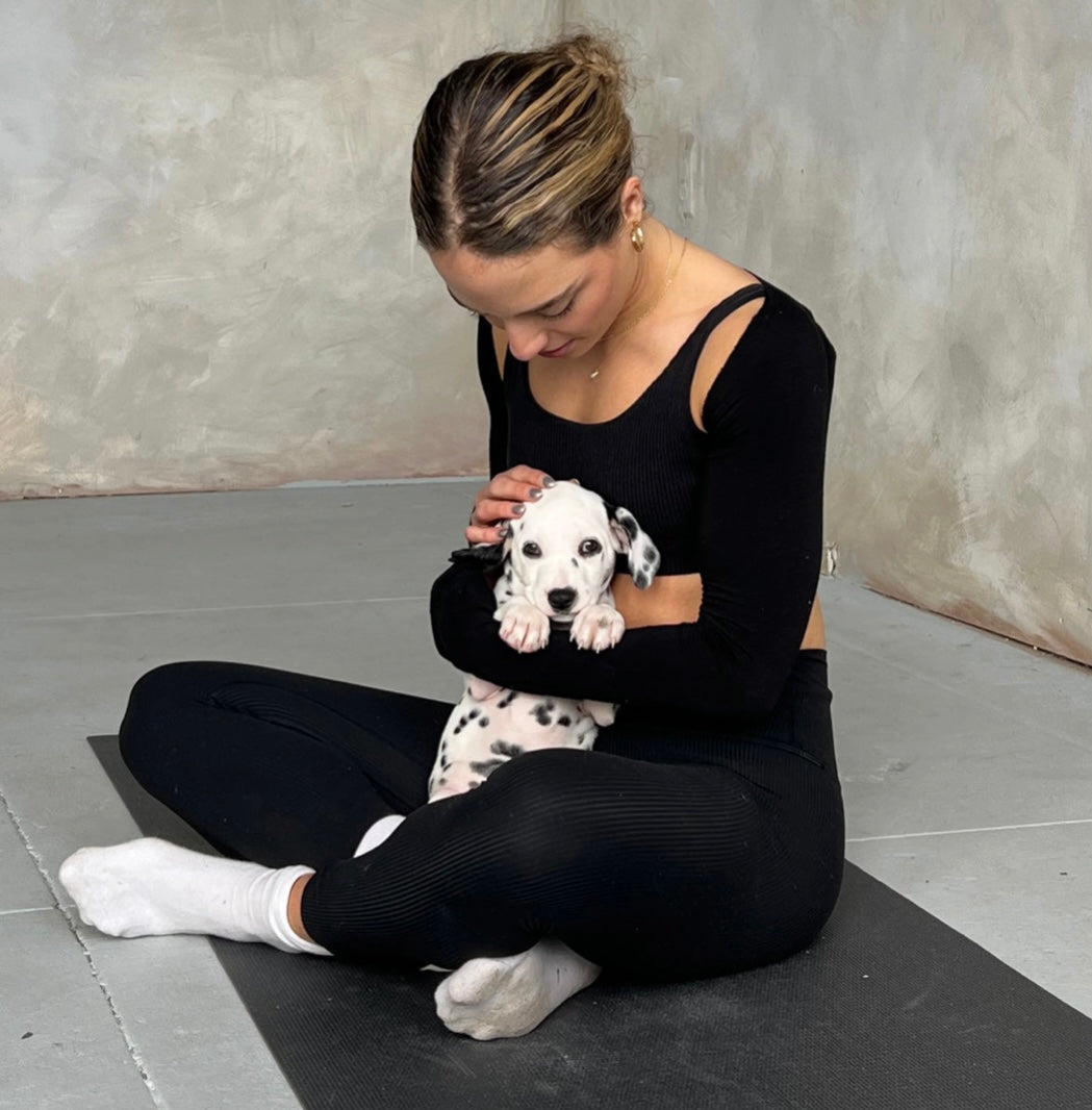 Private Puppy Yoga Birthday Party