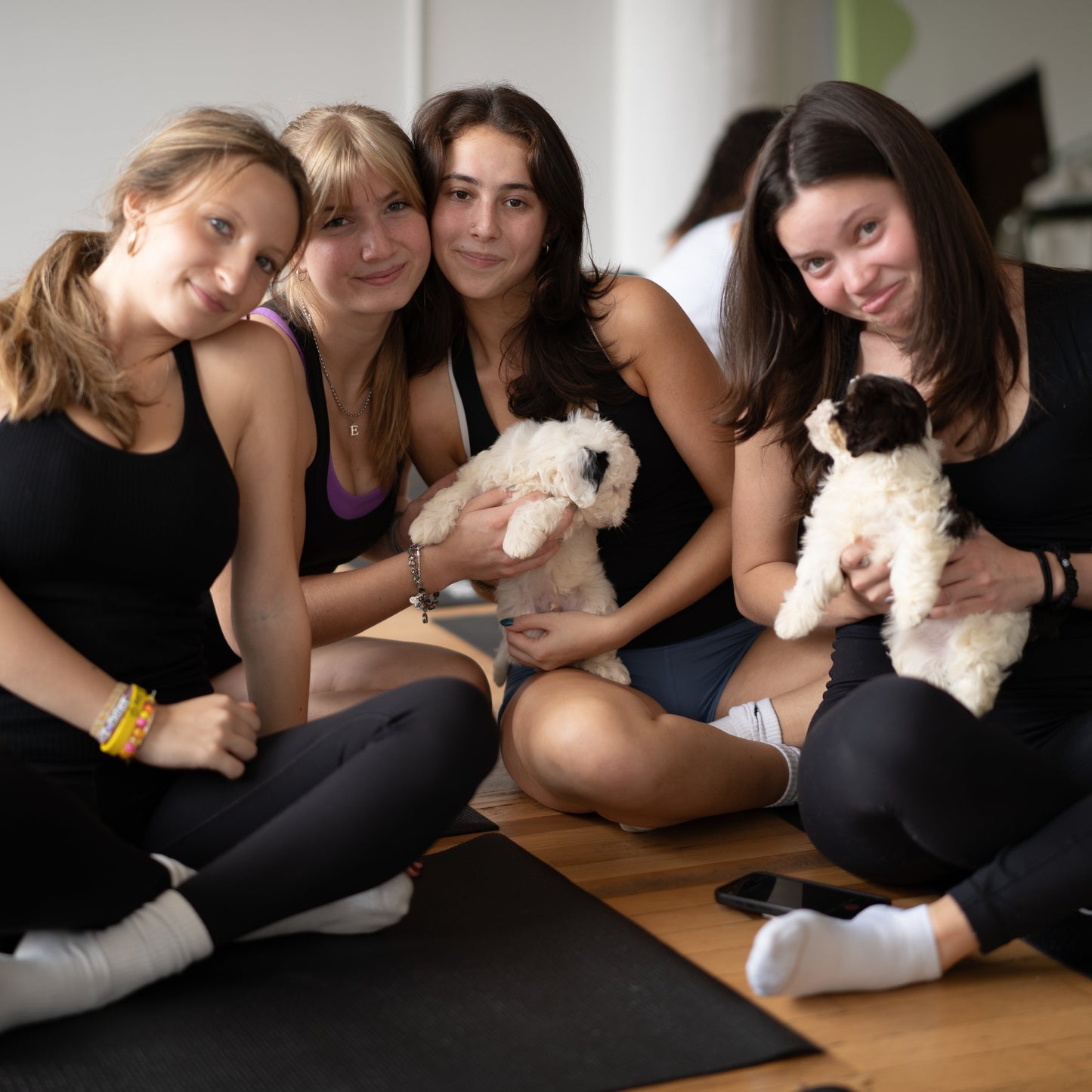 Puppy Yoga | New York