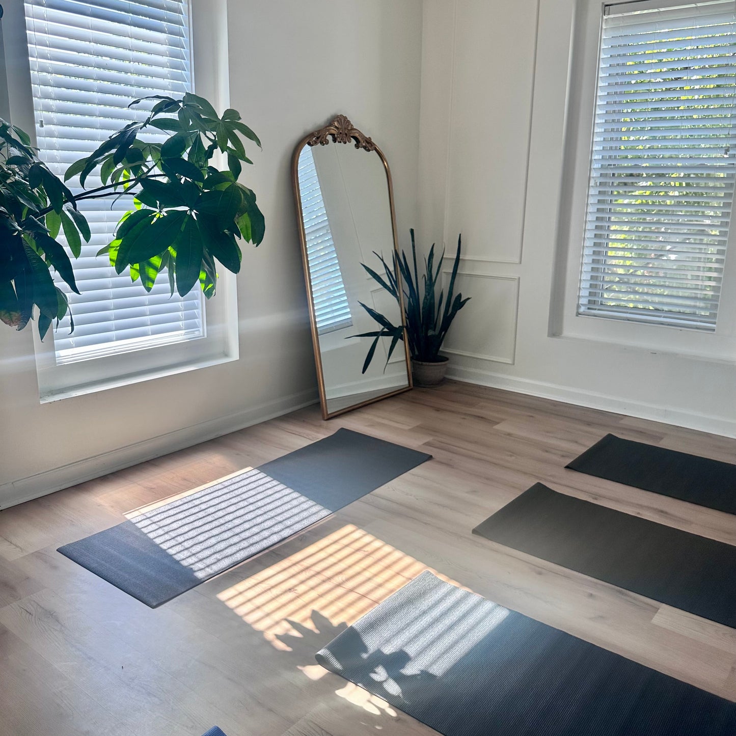 Puppy Yoga | Charlotte