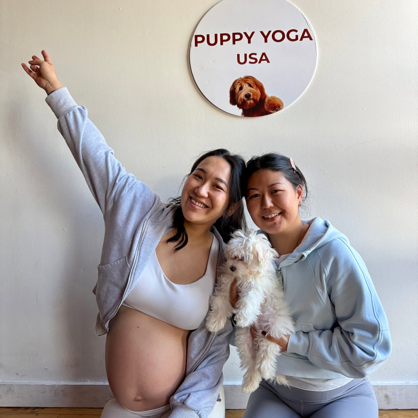 Puppy Yoga | Seattle