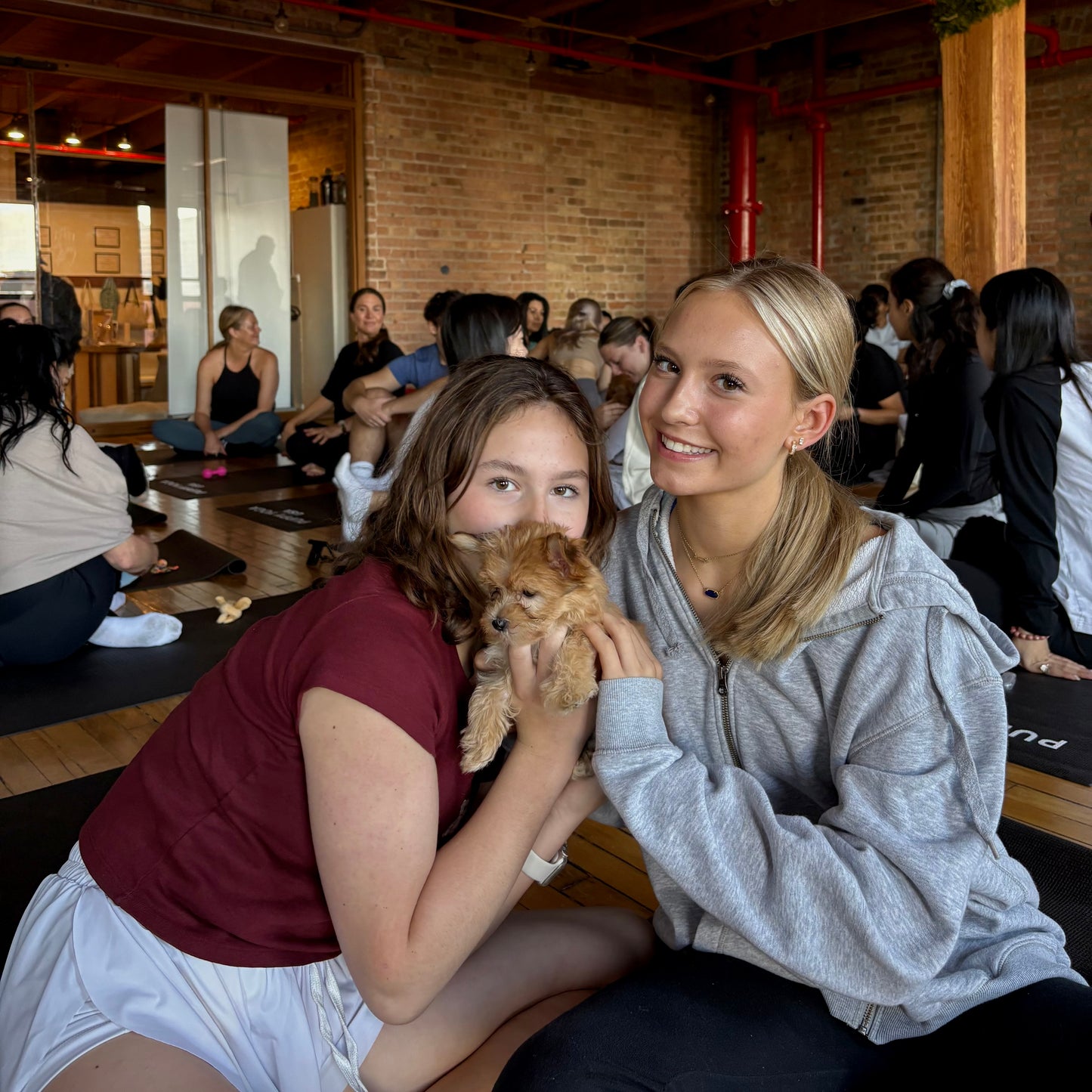 Puppy Yoga | Seattle