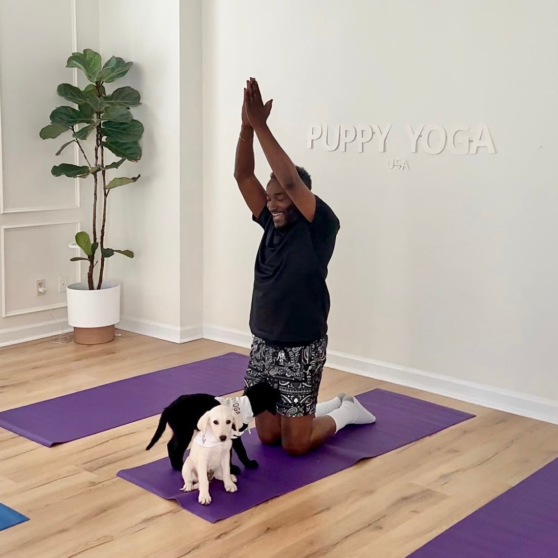 Puppy Yoga | Charlotte