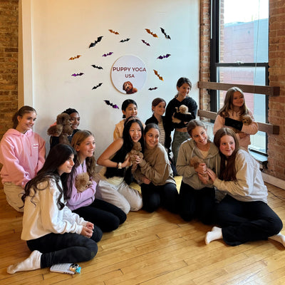 Puppy Yoga San Francisco: Weekend Classes in North Beach