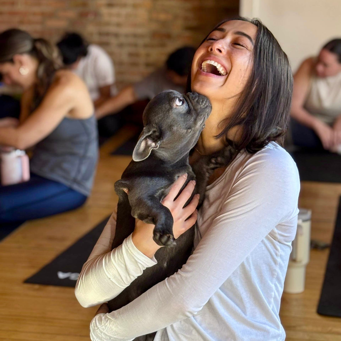 Your Complete New York City Studio Guide by Puppy Yoga USA
