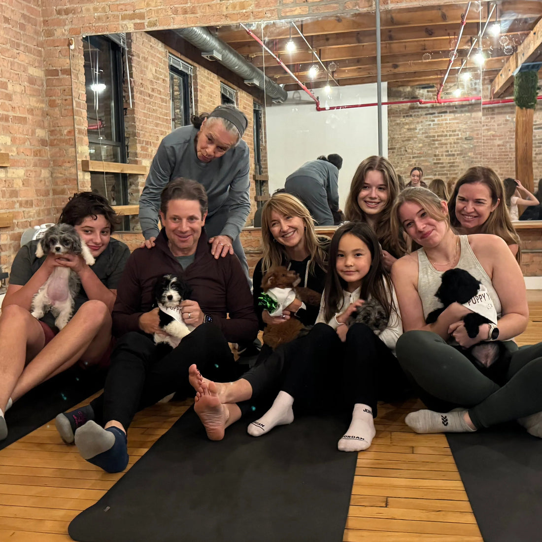Puppy Yoga for Team Building