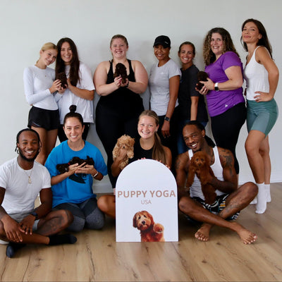 Transform Your Wellness Routine