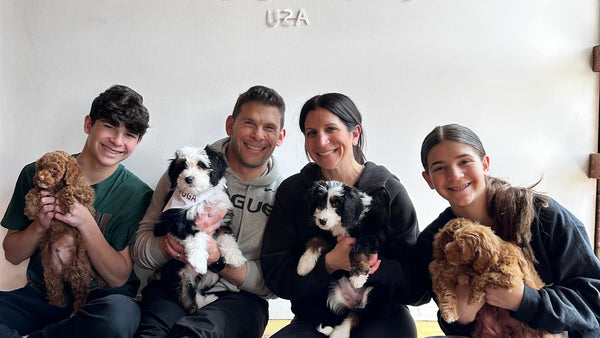 puppy yoga usa