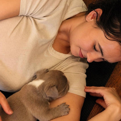 Puppy Yoga | Seattle