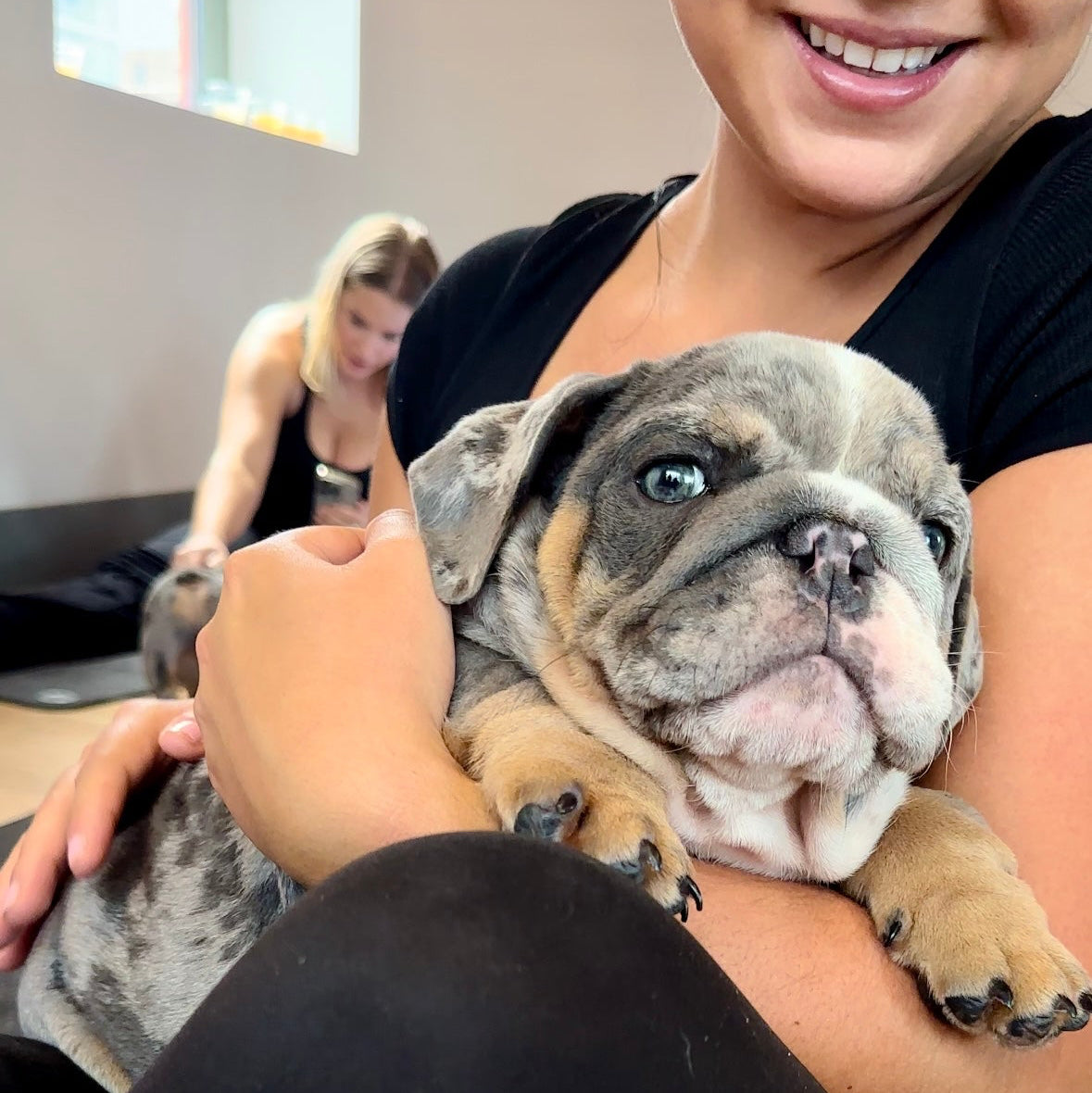 Puppy Yoga | Chicago