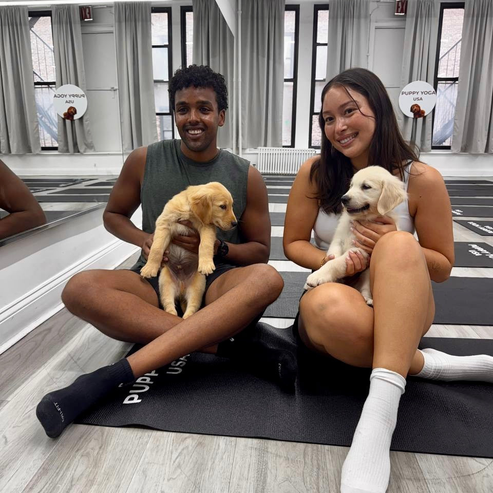 Puppy Yoga | New York
