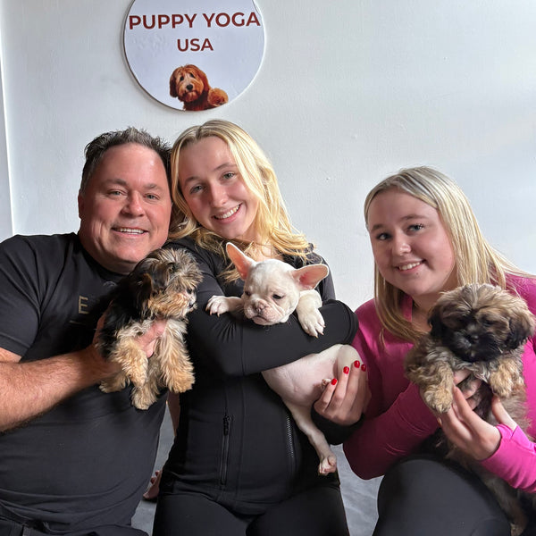 Puppy Playtime, Photos & Cuddles