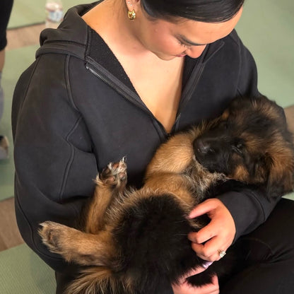 Puppy Yoga | Seattle