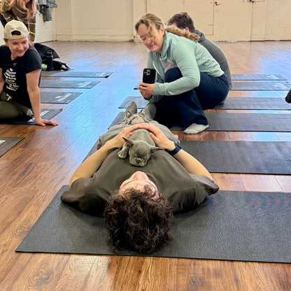 Puppy Yoga | Seattle