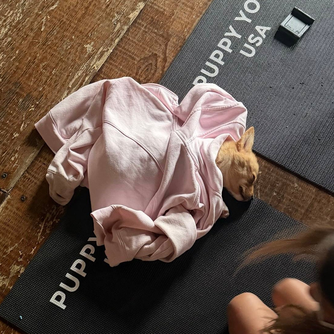 Puppy Yoga | Chicago