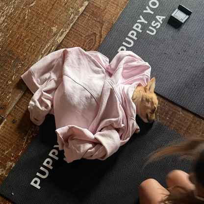 Puppy Yoga | Chicago