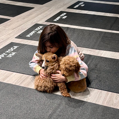 Puppy Yoga | Chicago