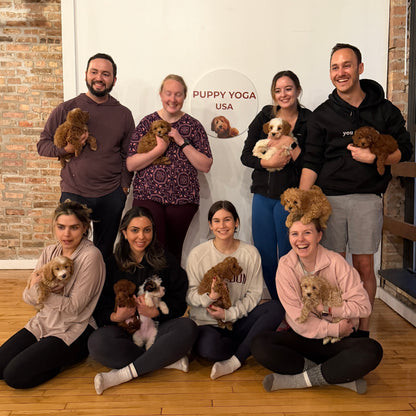 Puppy Yoga | San Francisco