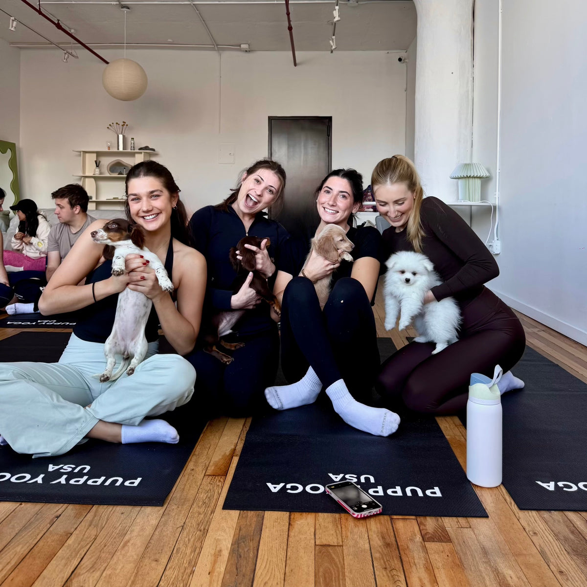 puppy yoga ny