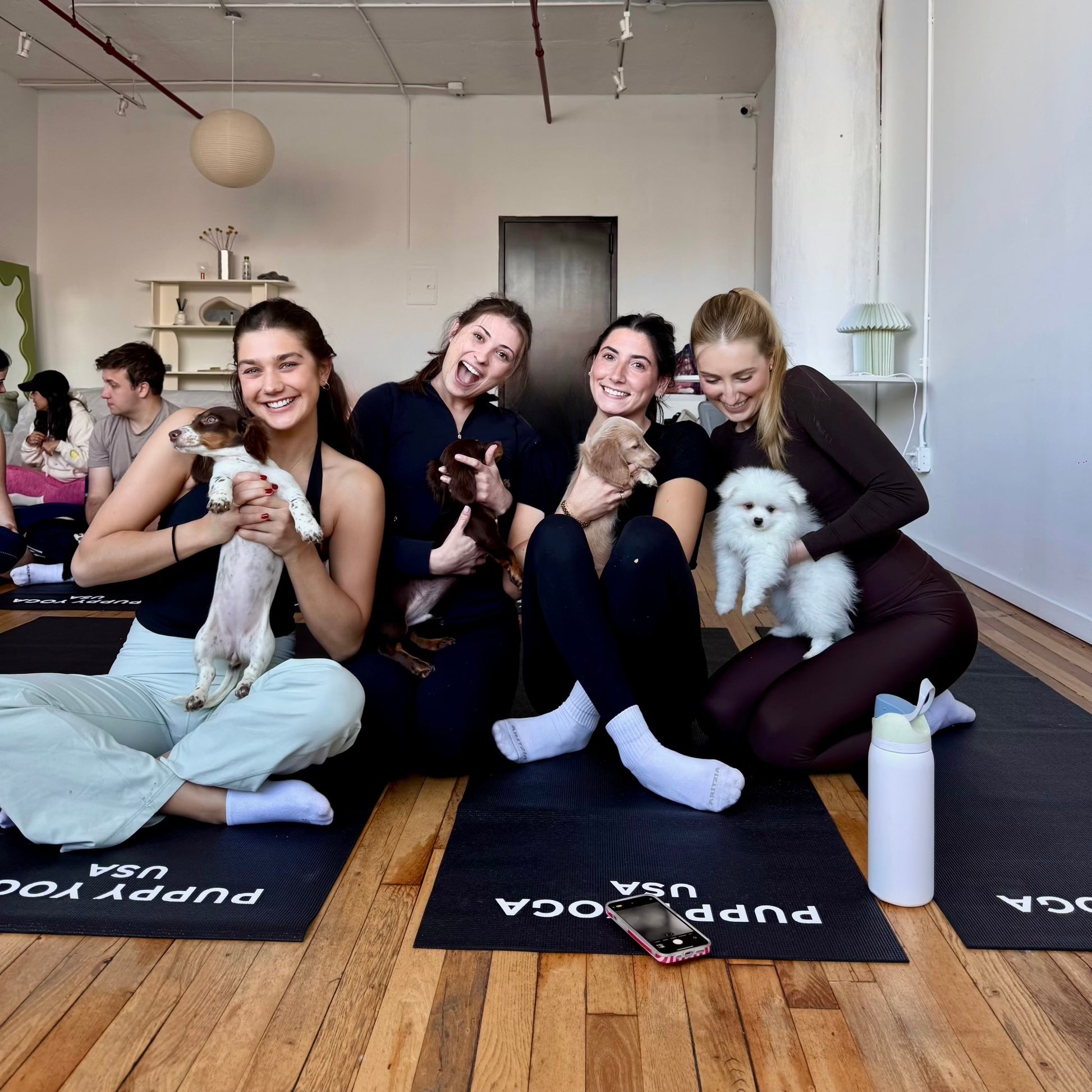 puppy yoga ny