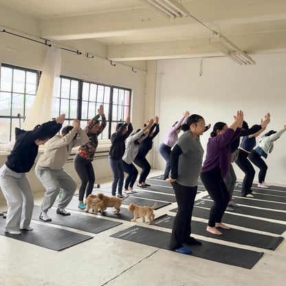 Puppy Yoga Private Event | SF