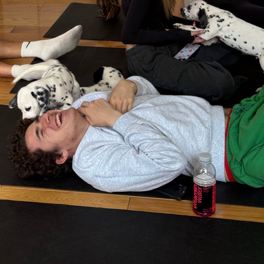 Puppy Yoga | New York