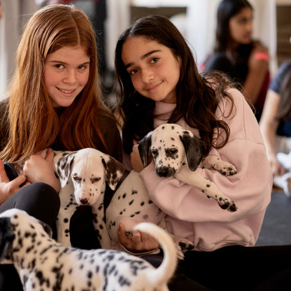puppy yoa usa