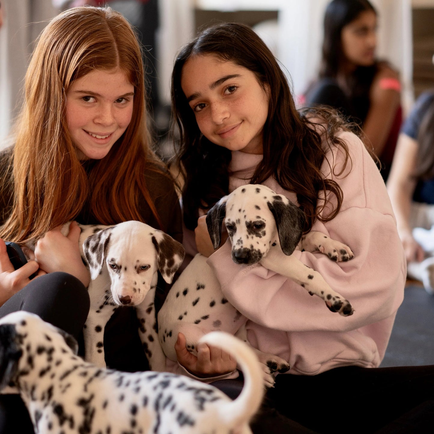 puppy yoa usa