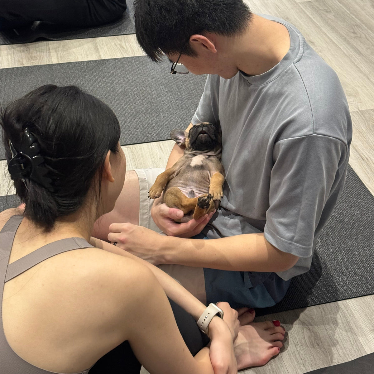 Puppy Yoga | New York