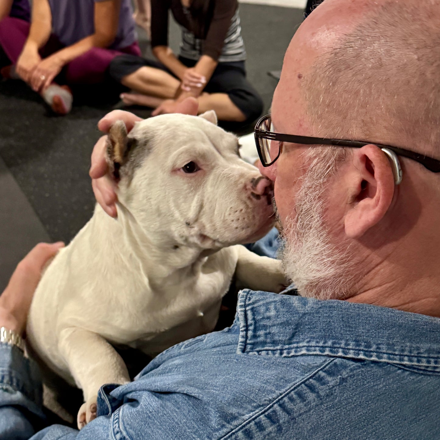 Puppy Yoga | Seattle