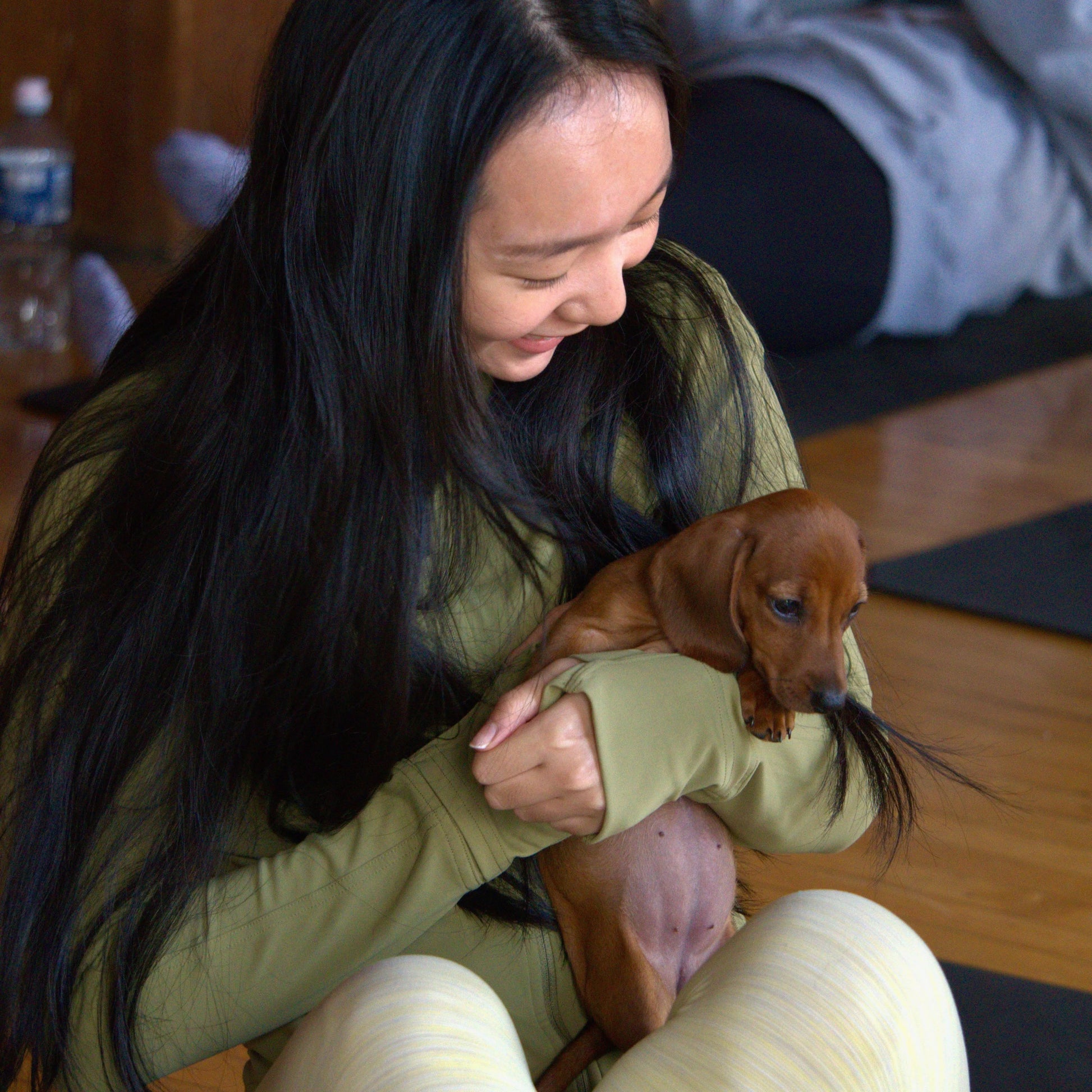 puppy yoa usa