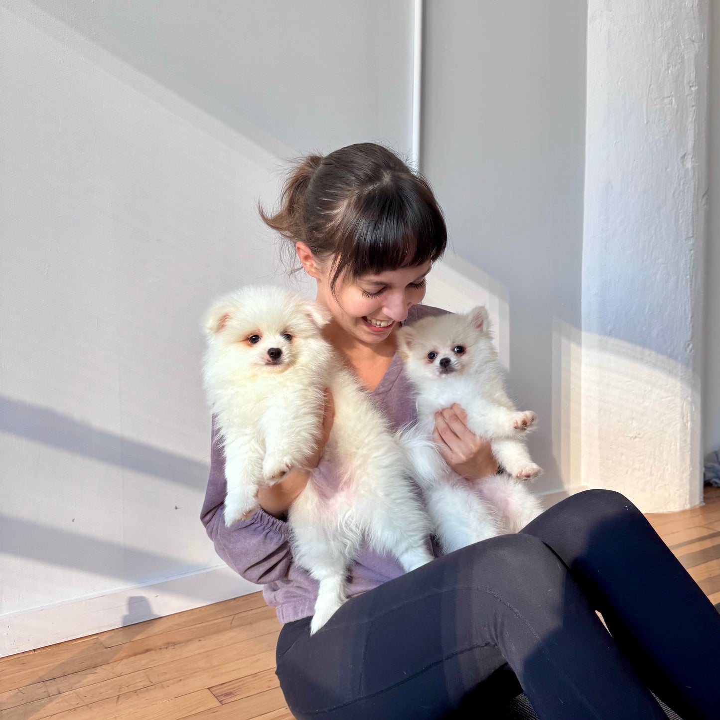 Puppy Yoga | San Francisco