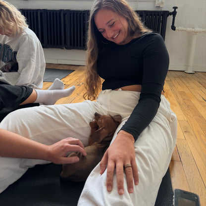 Puppy Yoga | San Francisco