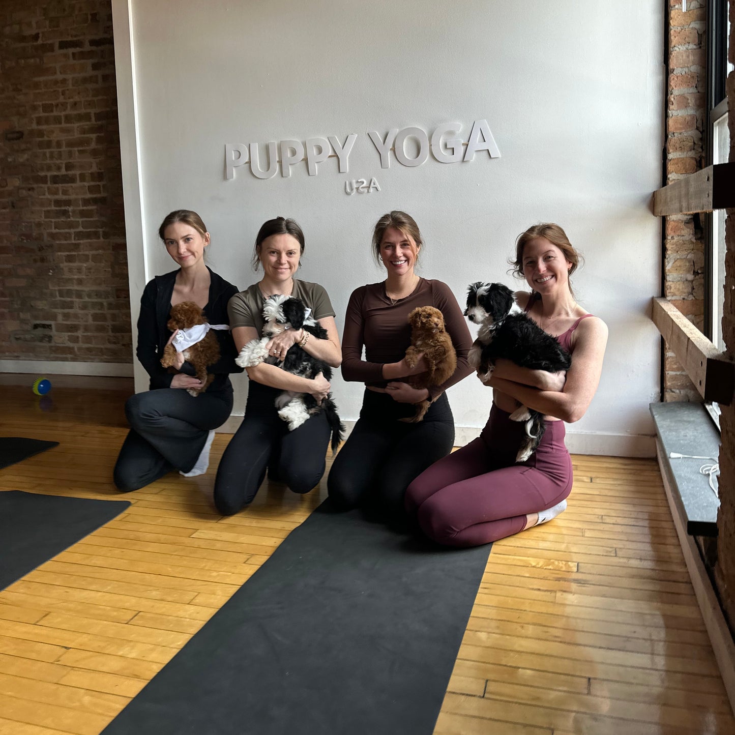 Puppy Yoga | Chicago