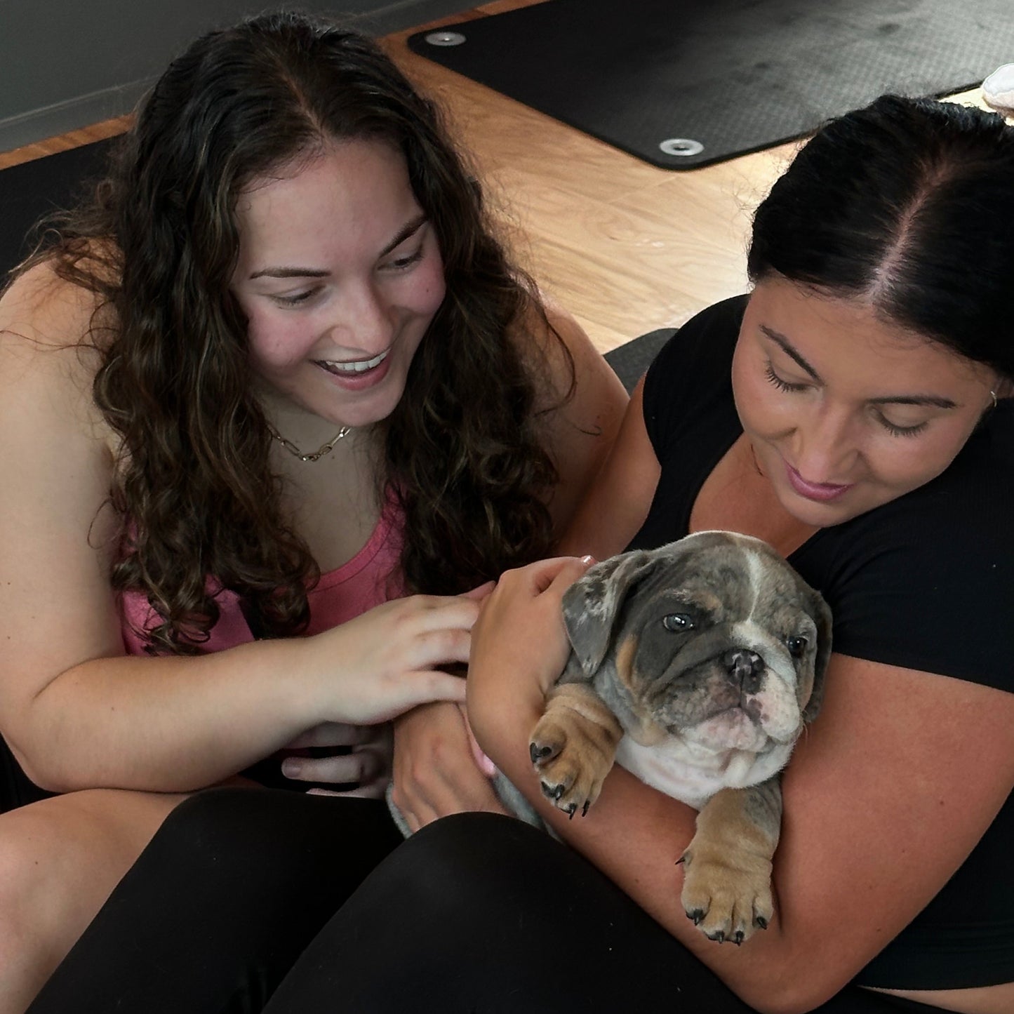 Puppy Yoga | Chicago