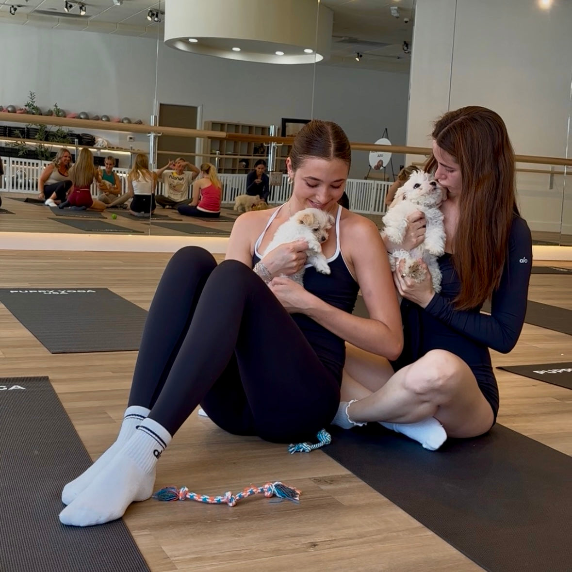 Puppy Yoga | Los Angeles
