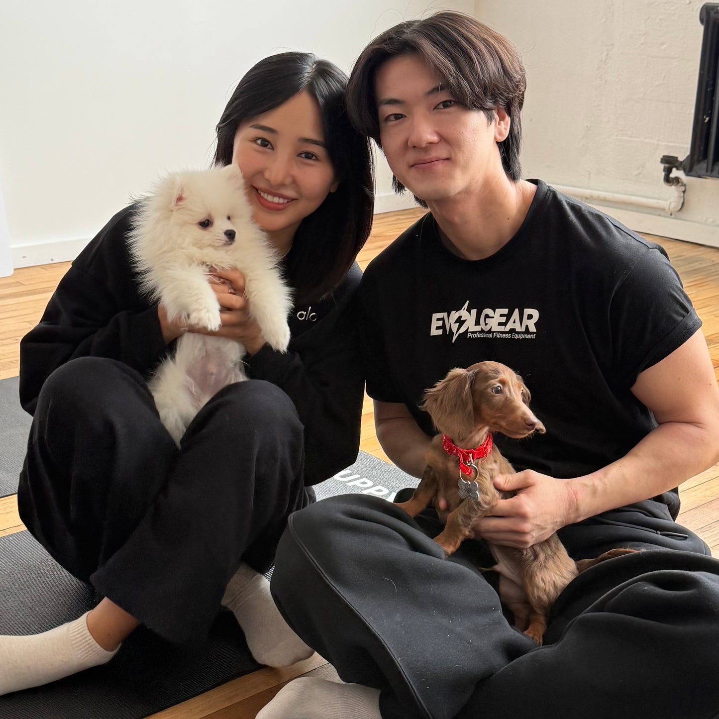 Puppy Yoga | Seattle