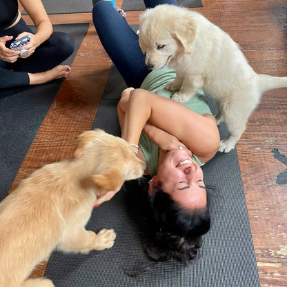Puppy Yoga | Denver