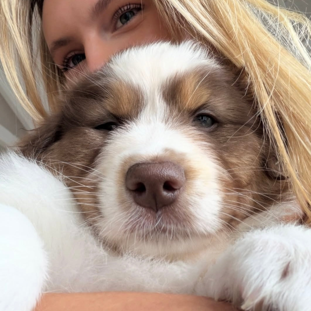 Private Puppy Yoga Event | Chicago