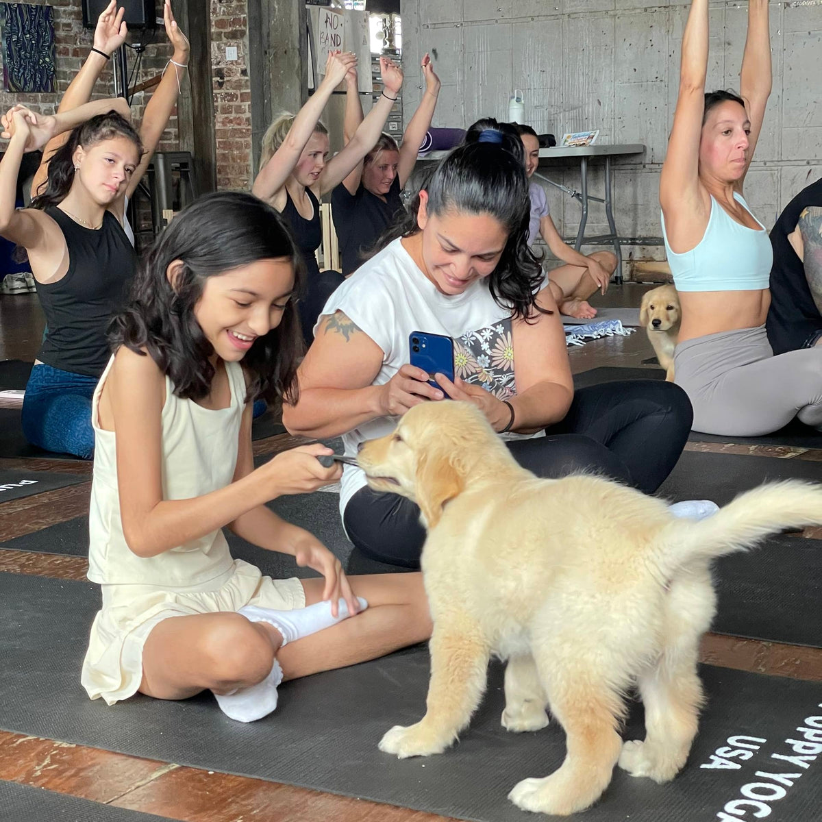 Puppy Yoga | Denver