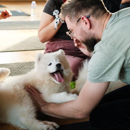 Puppy Yoga | New York