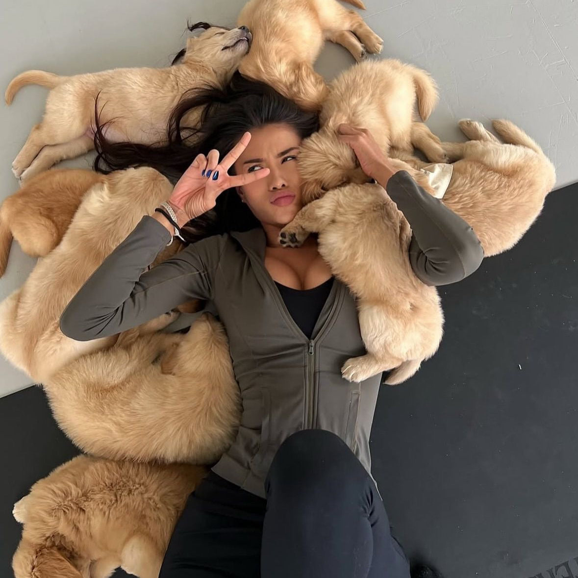 Puppy Yoga | New York