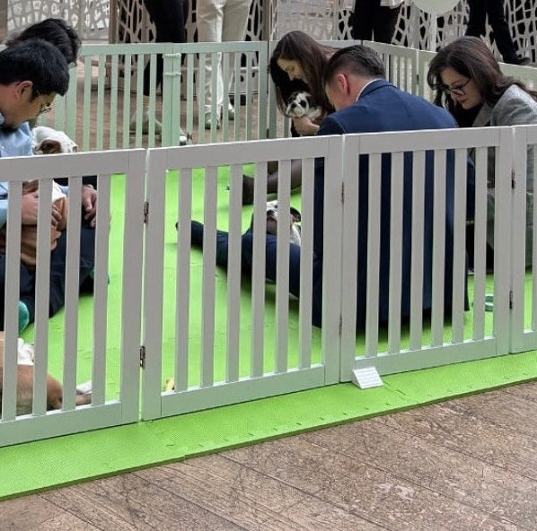 Puppy Social | Seattle