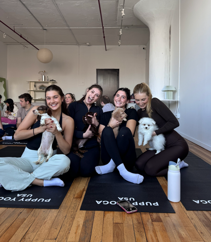 Private Puppy Yoga Event | Chicago