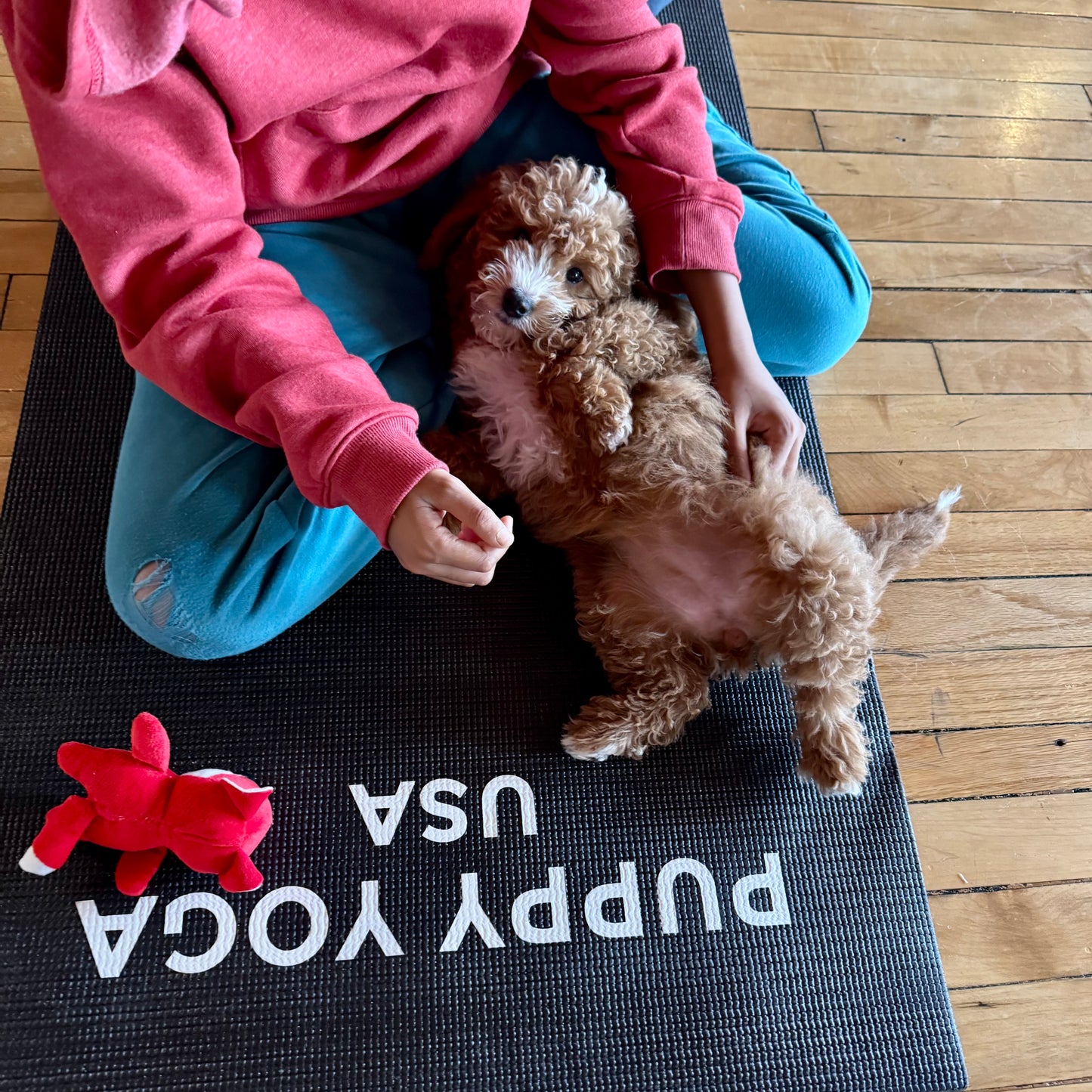 puppy yoa usa
