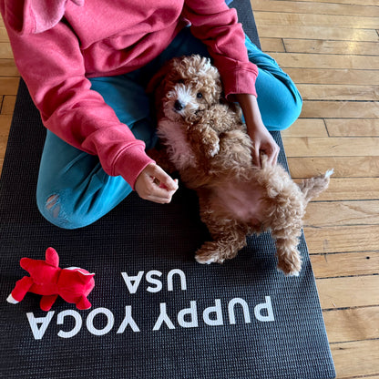 puppy yoa usa