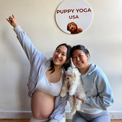 Puppy Yoga | Seattle