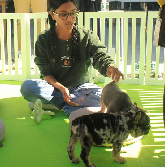 Puppy Social | Seattle