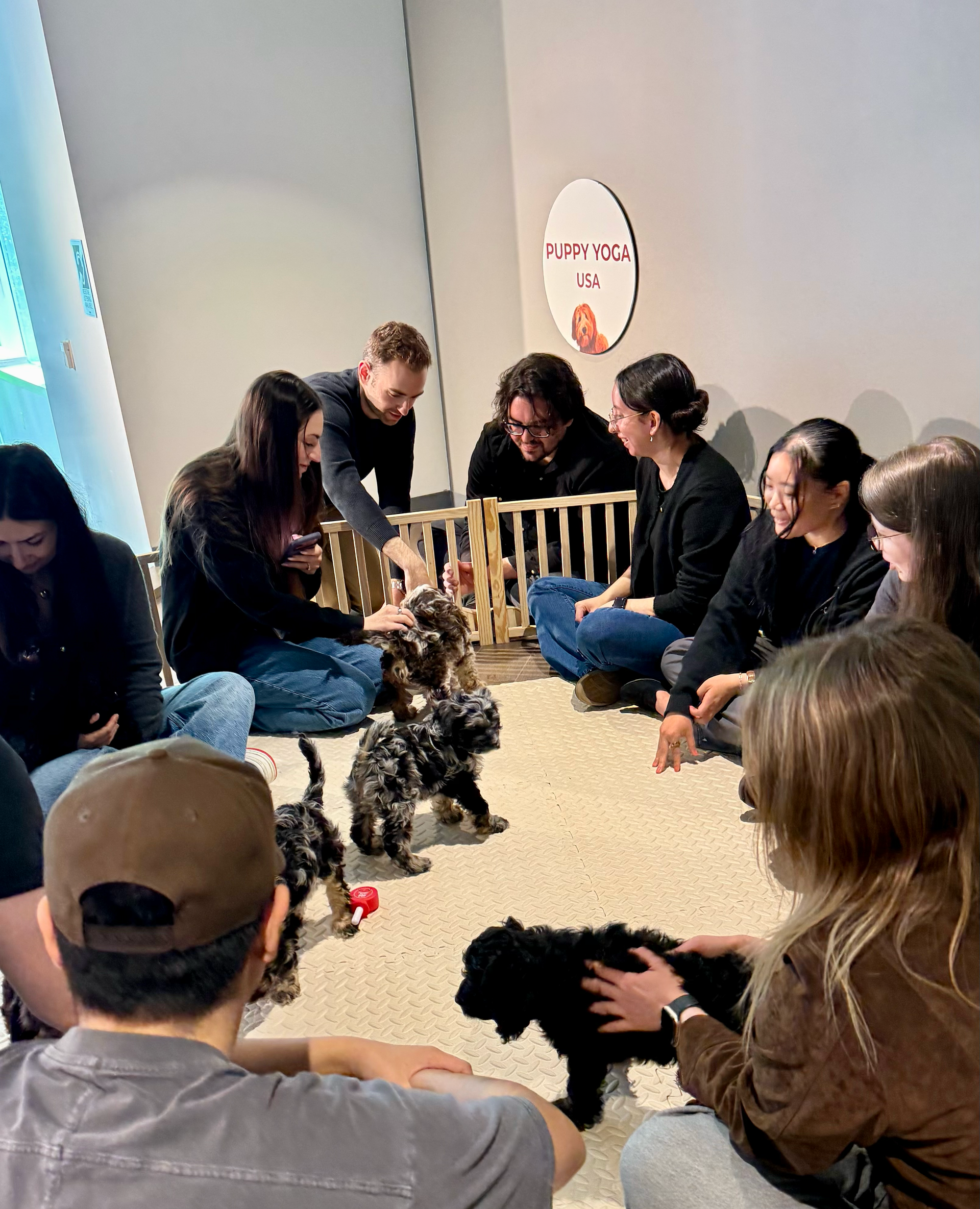 Corporate Puppy Wellness Experiences